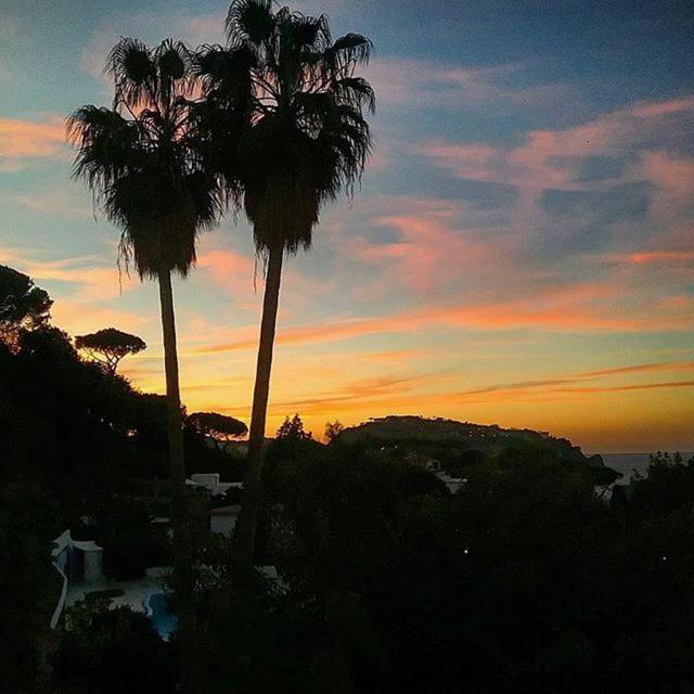 Hotel Parco Conte Casamicciola Terme Dış mekan fotoğraf