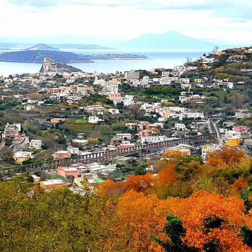 Hotel Parco Conte Casamicciola Terme Dış mekan fotoğraf