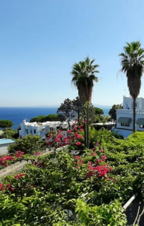 Hotel Parco Conte Casamicciola Terme Dış mekan fotoğraf