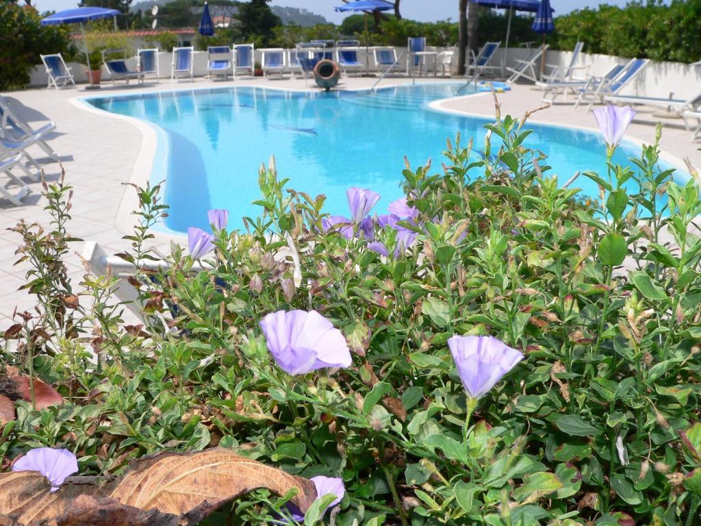 Hotel Parco Conte Casamicciola Terme Dış mekan fotoğraf
