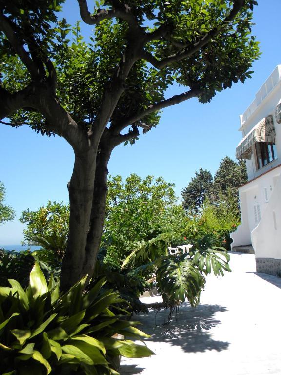 Hotel Parco Conte Casamicciola Terme Dış mekan fotoğraf