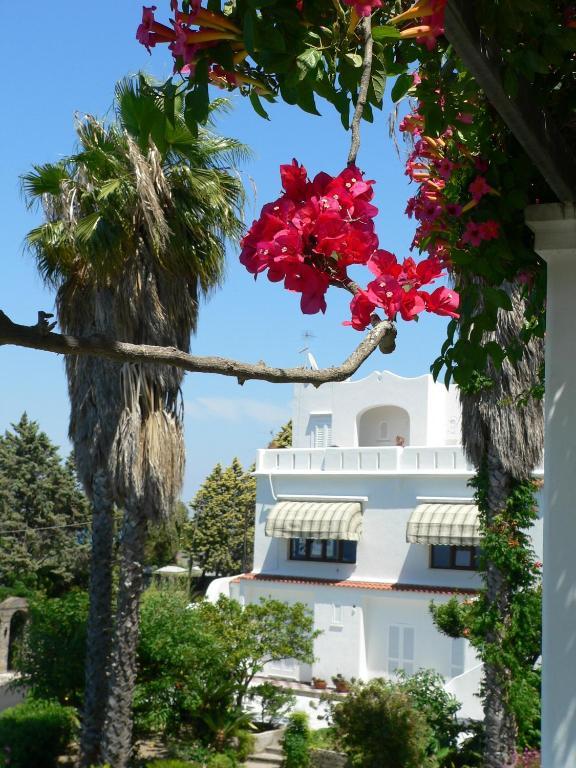 Hotel Parco Conte Casamicciola Terme Dış mekan fotoğraf